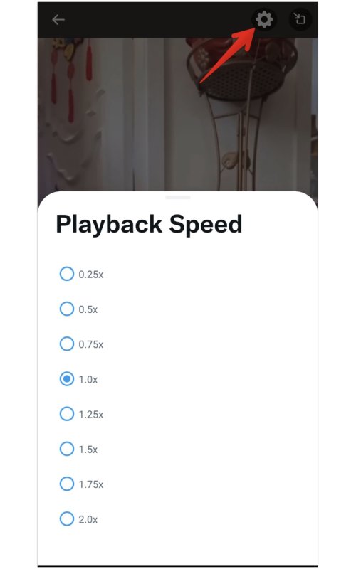 Changing the playback speed of Twitter videos