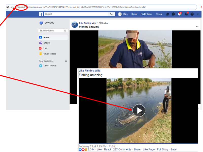Diving into Facebook to save a video by OSINT Combine