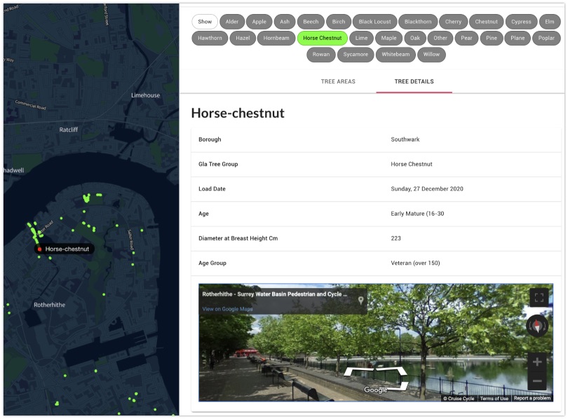 Finding horse chestnuts in London