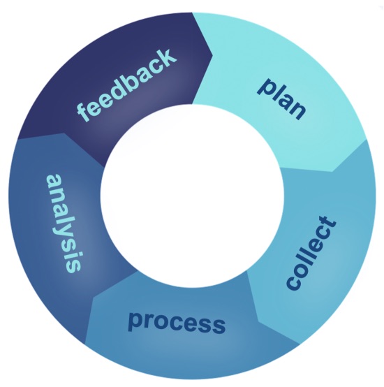 The intelligence cycle