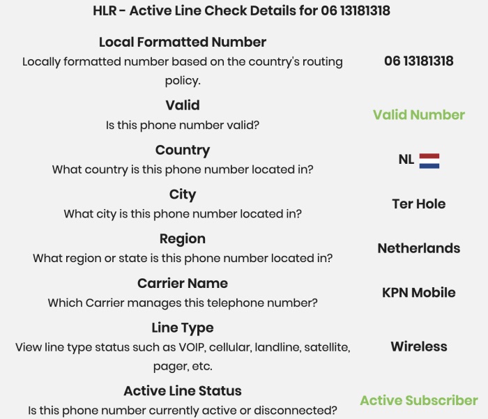 Running an HLR lookup on a Dutch mobile number